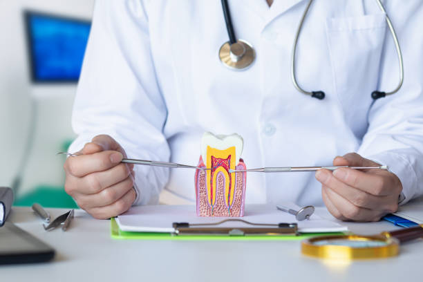 Best Holiday Emergency Dentist in Louisburg, NC